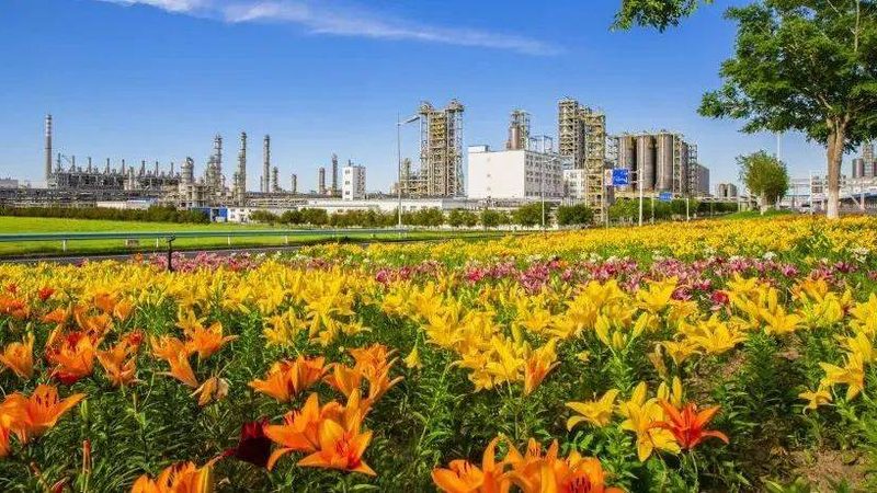 北京本地分散剂批发：如何选择优质供应商**